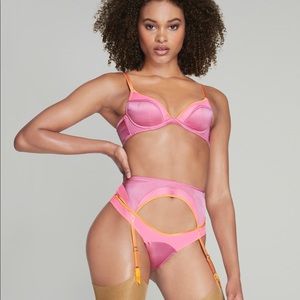Agent Provocateur Sorbet 34b bra and size 2 garter NWT